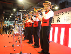 NɈDixie Show Casẻt