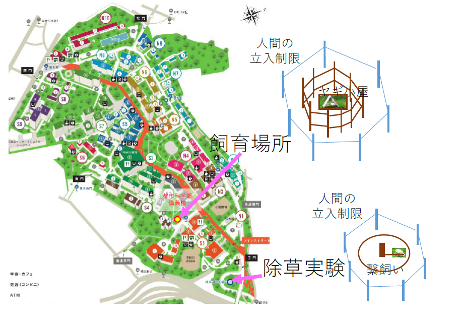 飼育場所および除草実験場所
