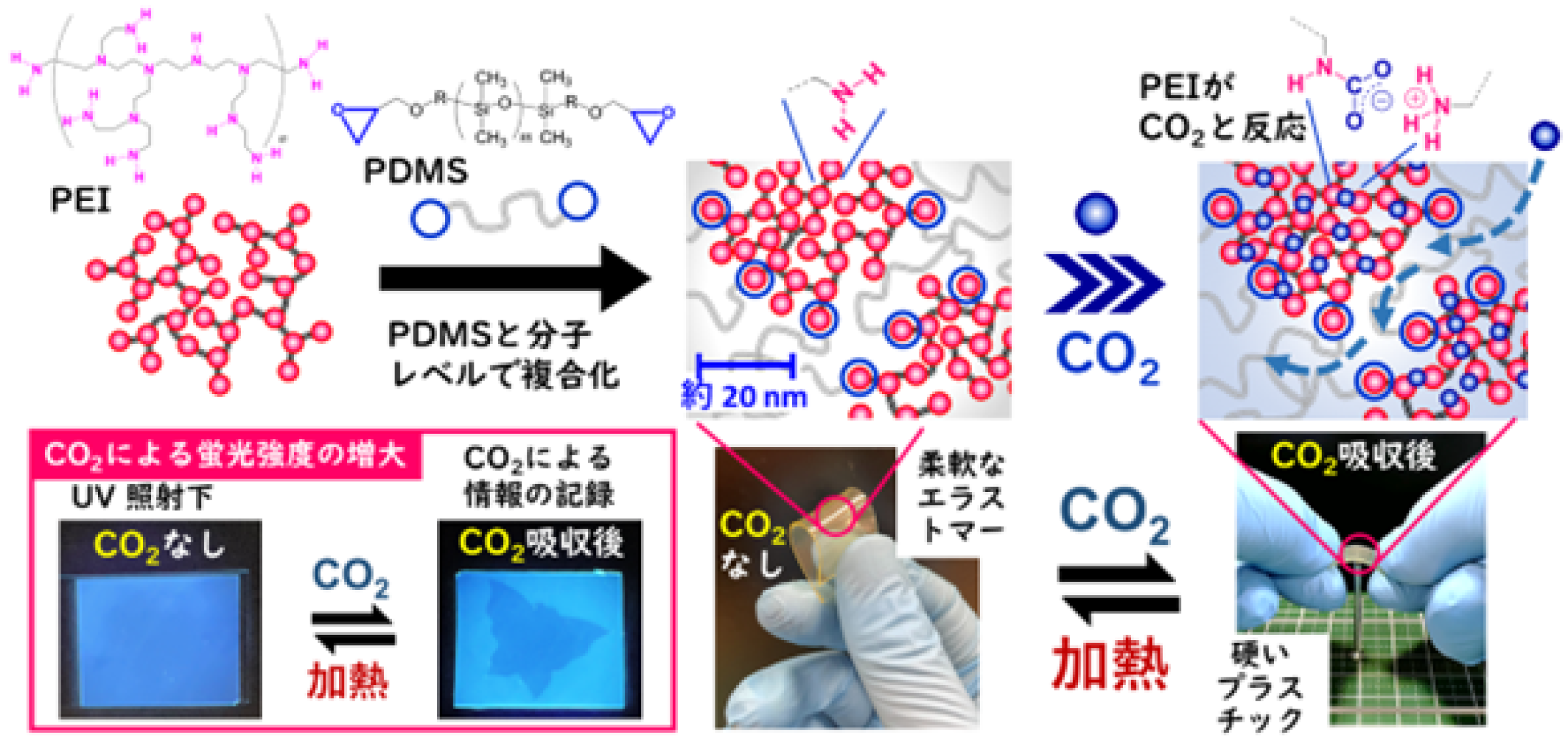 図1． 本研究で開発したCO2を吸収して硬化する、また、蛍光を増大させるエラストマー