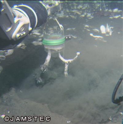 深海底での巣穴型どり作業。巣穴の形に固まった樹脂を無人探査機ハイパードルフィンで引き上げているところ。