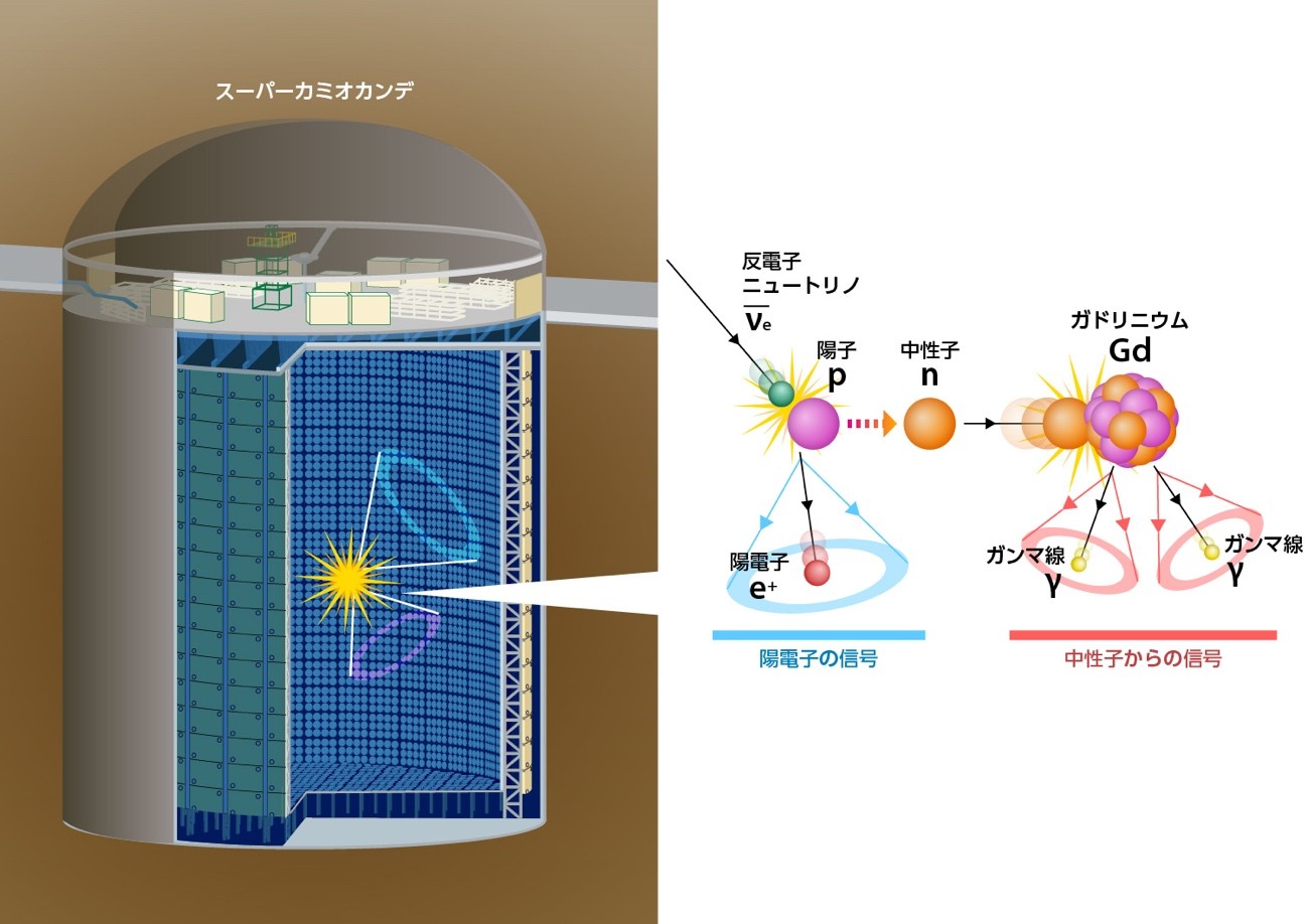 ガドリニウムを加えることにより、反電子ニュートリノからの信号を区別して検出できるようになります。