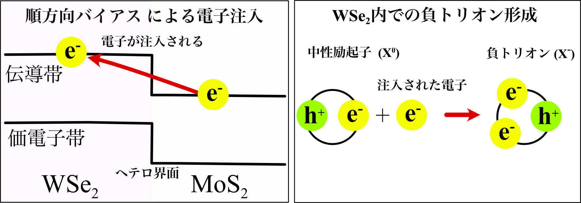 ヘテロ構造ダイオードに流れる電流と負トリオン(X−)形成の模式図