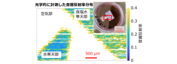 （図）光学的に計測した音響反射率分布
