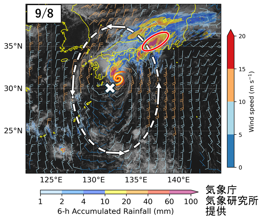 図7．9月8日におけるモンスーンジャイアの流れと東海地方で発生した線状降水帯。
背景は気象衛星ひまわりの可視画像（白黒）、衛星で観測された海上風（矢羽根）、及び9月8日13時から19時までの6時間積算雨量（カラー）を示す。白破線の楕円はモンスーンジャイアに伴う強い風のおおよその位置、白×はモンスーンジャイアの中心位置、赤丸は線状降水帯が発生した領域を示す。台風マークは元台風第24号（熱帯低気圧）の位置（8日15時頃）を示す。8日はモンスーンジャイアが南北に伸び、形が崩れつつあった。モンスーンジャイアの強風域が日本の南海上で南北に伸びており、これに沿って大量の水蒸気が東海地方に流入し、線状降水帯の発生に影響した可能性がある。