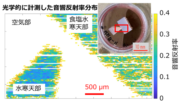 （図）光学的に計測した音響反射率分布
