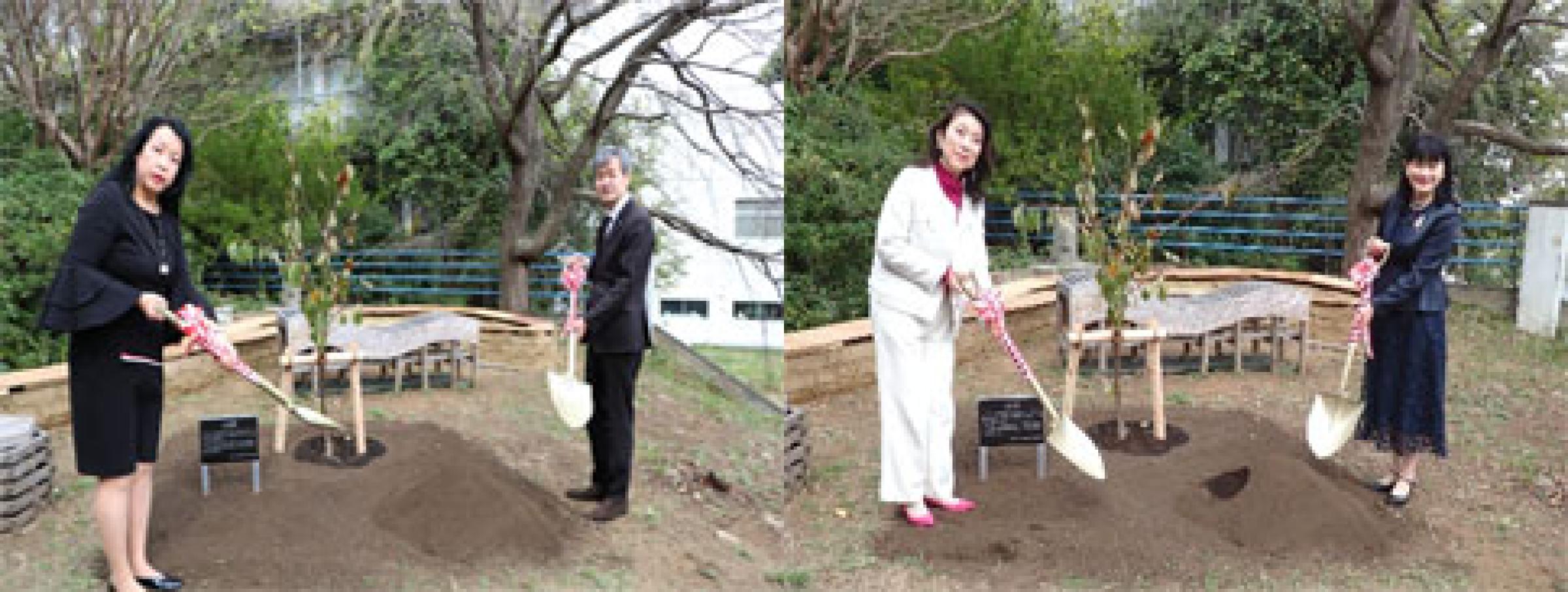 【写真左】植樹をする梅本代表理事（左）梅原学長（右）【写真右】植樹をする石井理事（左）藤掛都市科学部長（右）