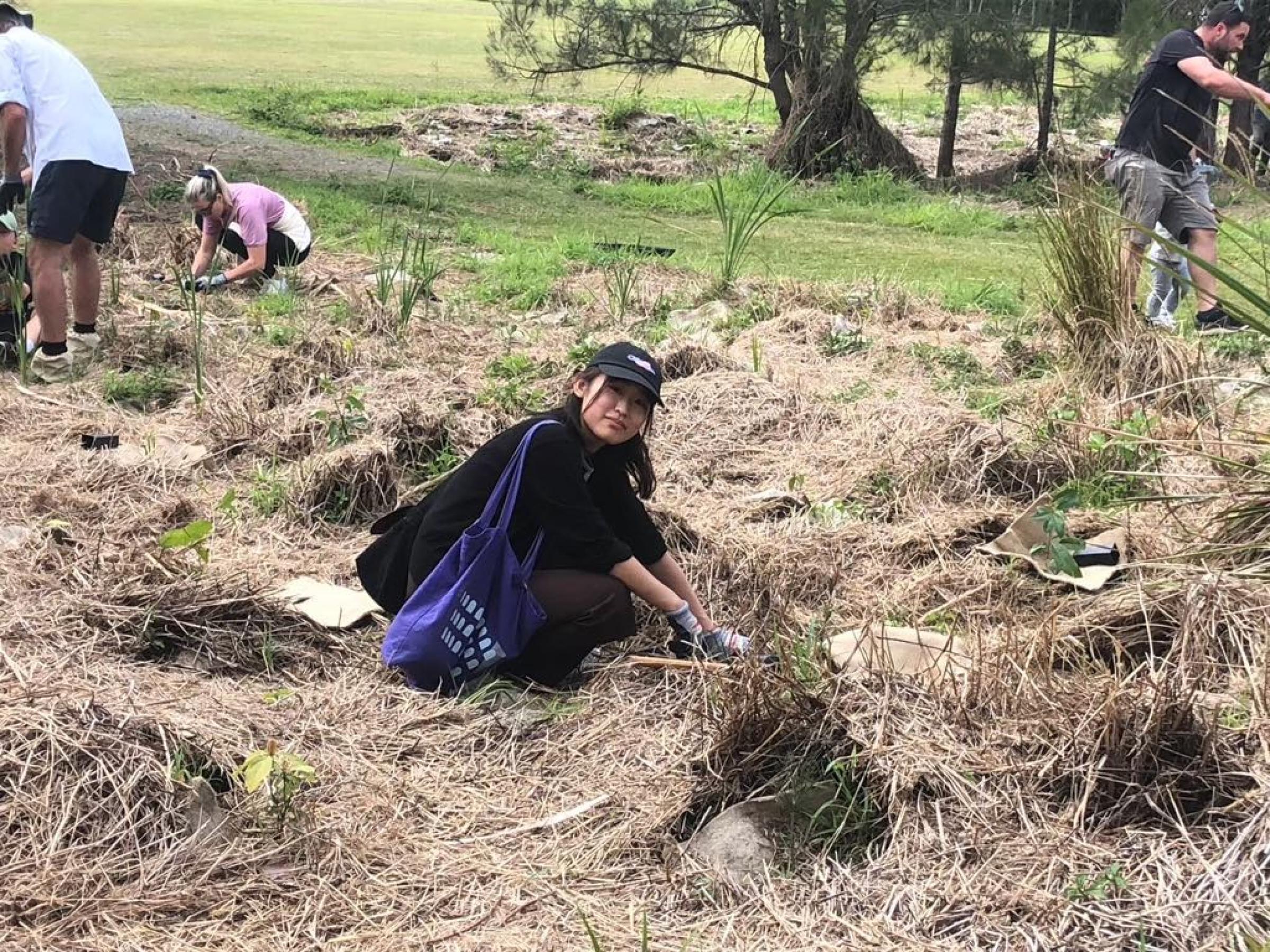 Tree planting in Currumbin