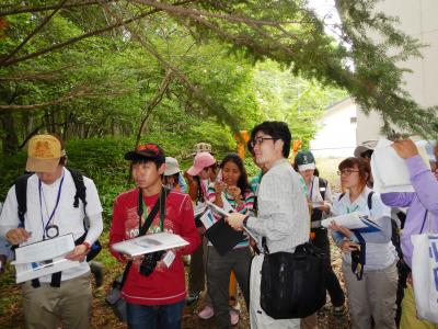 植物の種の観察と解説