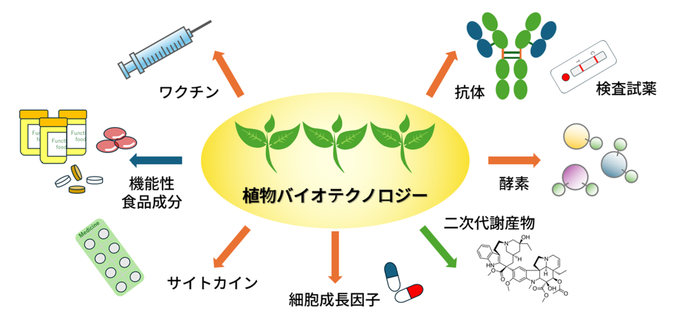 図1 植物バイオテクノロジーを用いたものづくりのイメージ