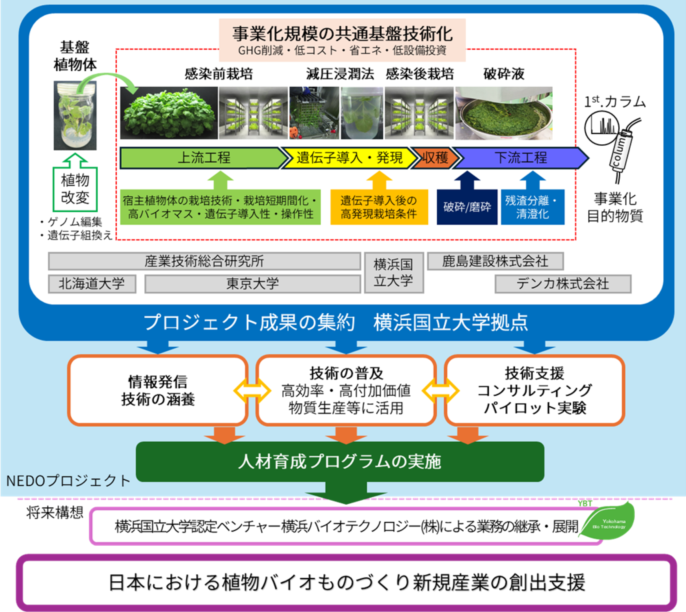 図2 本プロジェクトの概要