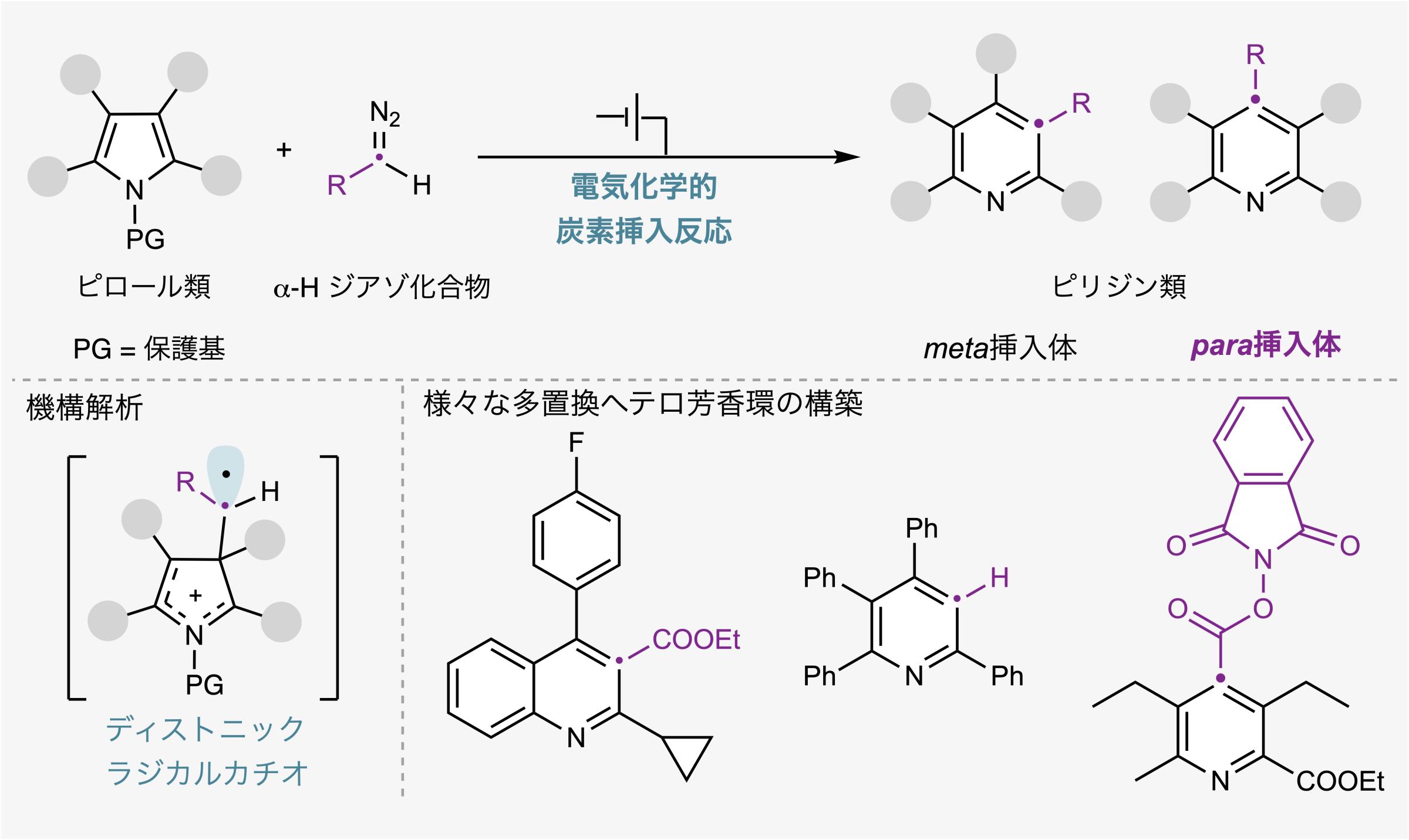 図１. 今回開発した環拡大反応