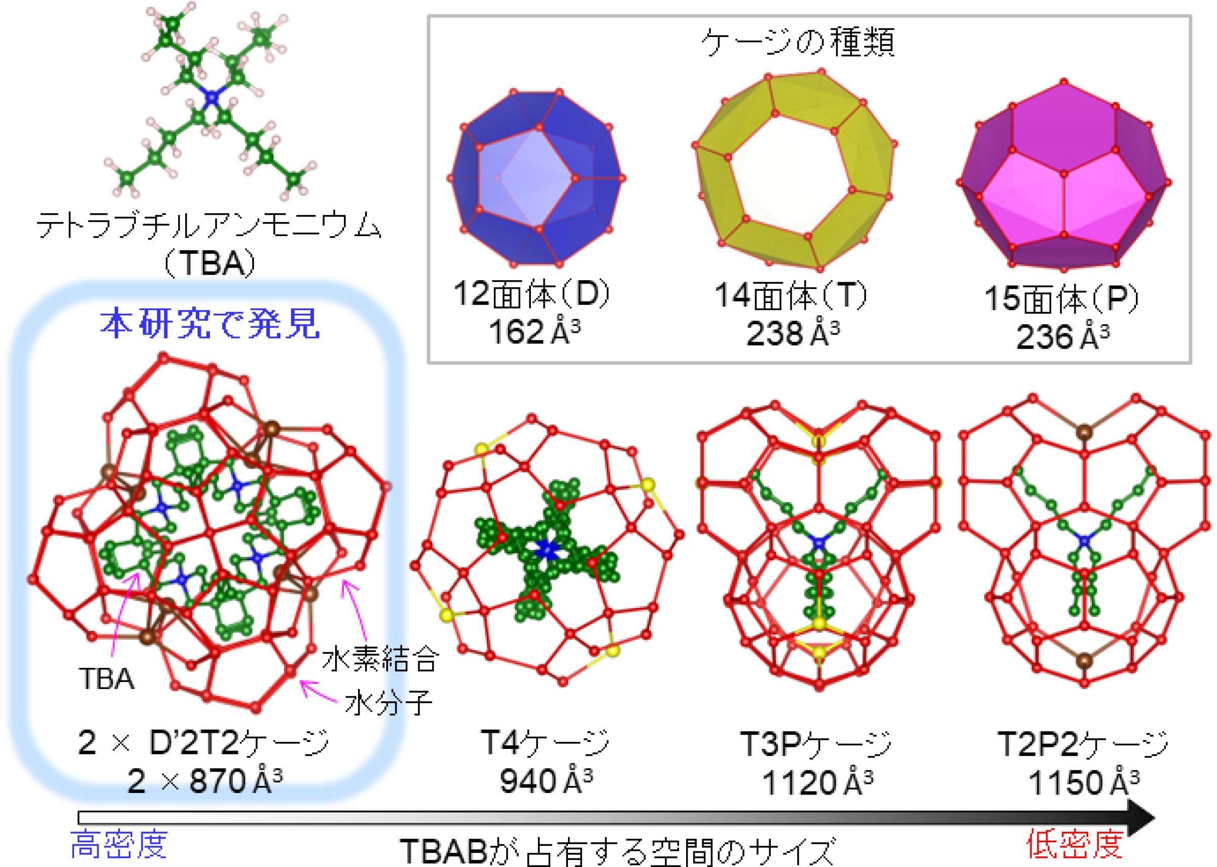 図. 本研究で解明されたTBABが占有する空間のサイズ。 従来12面体をTBABが占有することは報告されておらず、12面体を利用することによってTBABが高密度にパッキングされていることを本研究で明らかにした。