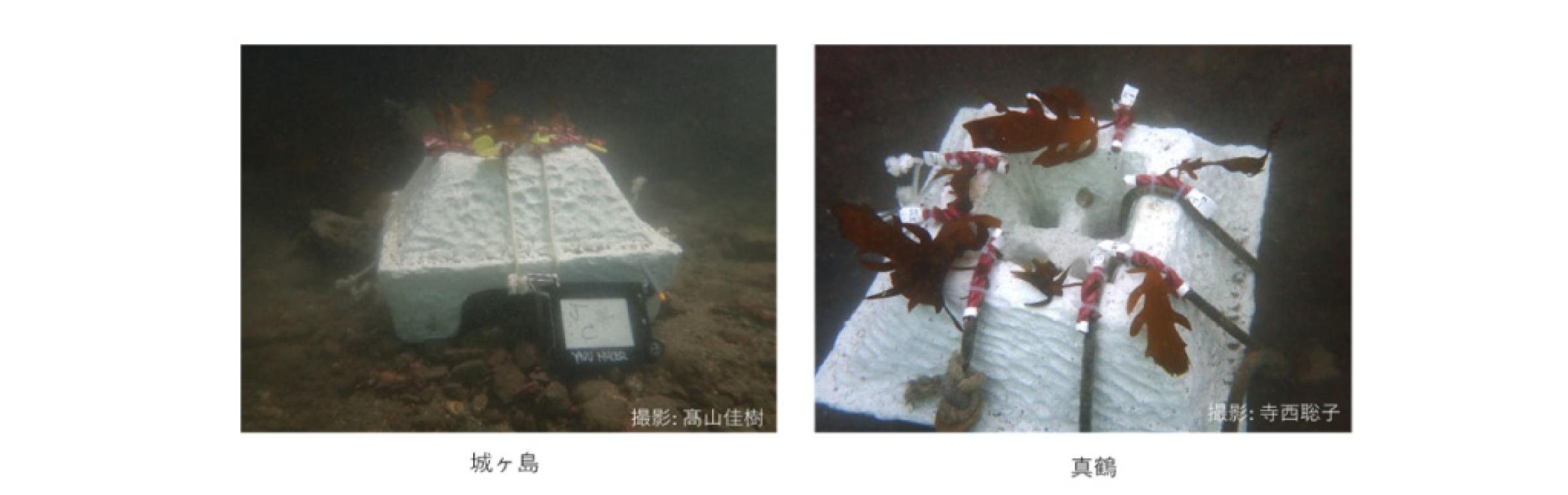 図:現場海域への設置状況