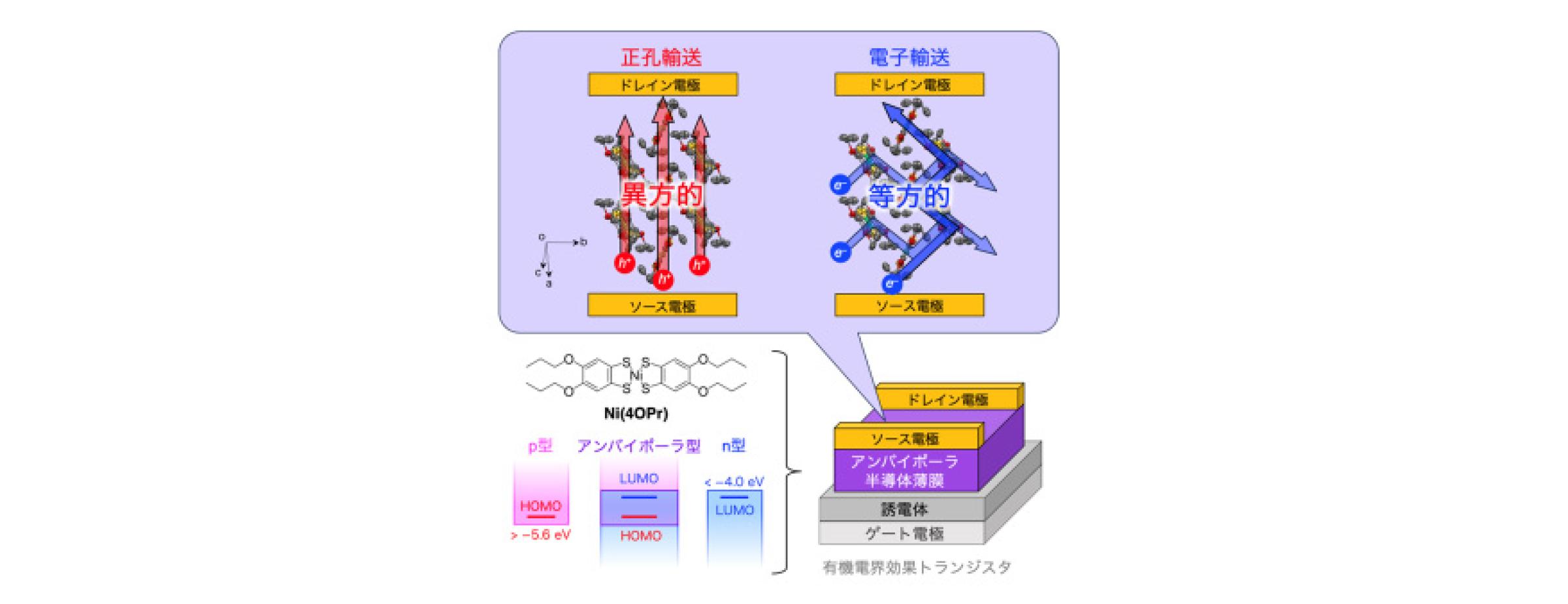 図：アンバイポーラ（両極性）の分子半導体を用いることで、単一材料内において正孔と電子が異なる輸送異方性を示す有機電界効果トランジスタ（OFET）を実現
