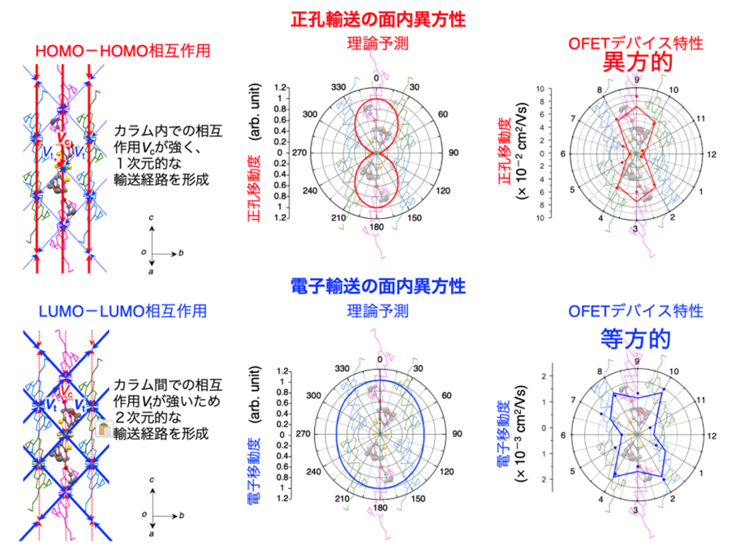 図1：薄膜内のキャリア輸送異方性の理論予測および実験データ
正孔輸送における軌道の分子間での相互作用は特定方向（カラム内）に強く、１次元的な輸送経路を形成する。一方で電子輸送における軌道の分子間での相互作用は複数の方向にまたがるカラム間において強く、結果的に２次元的な輸送経路を形成する。