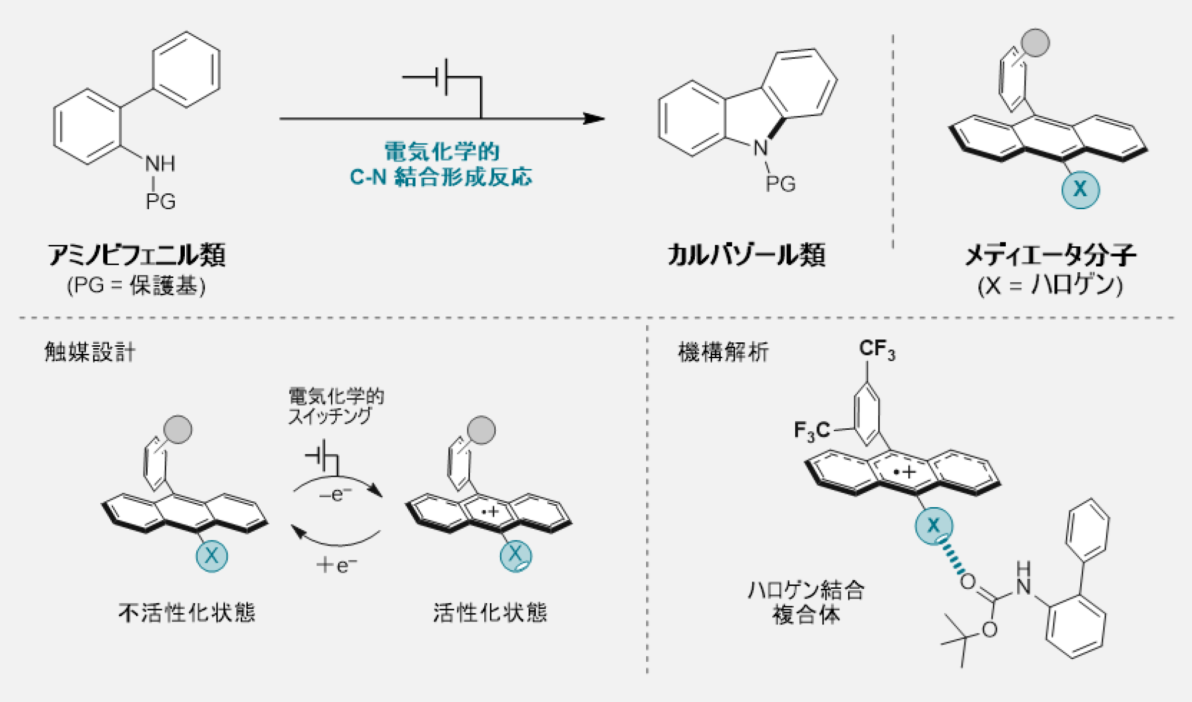 電気化学的にスイッチングする新たな触媒分子を開発