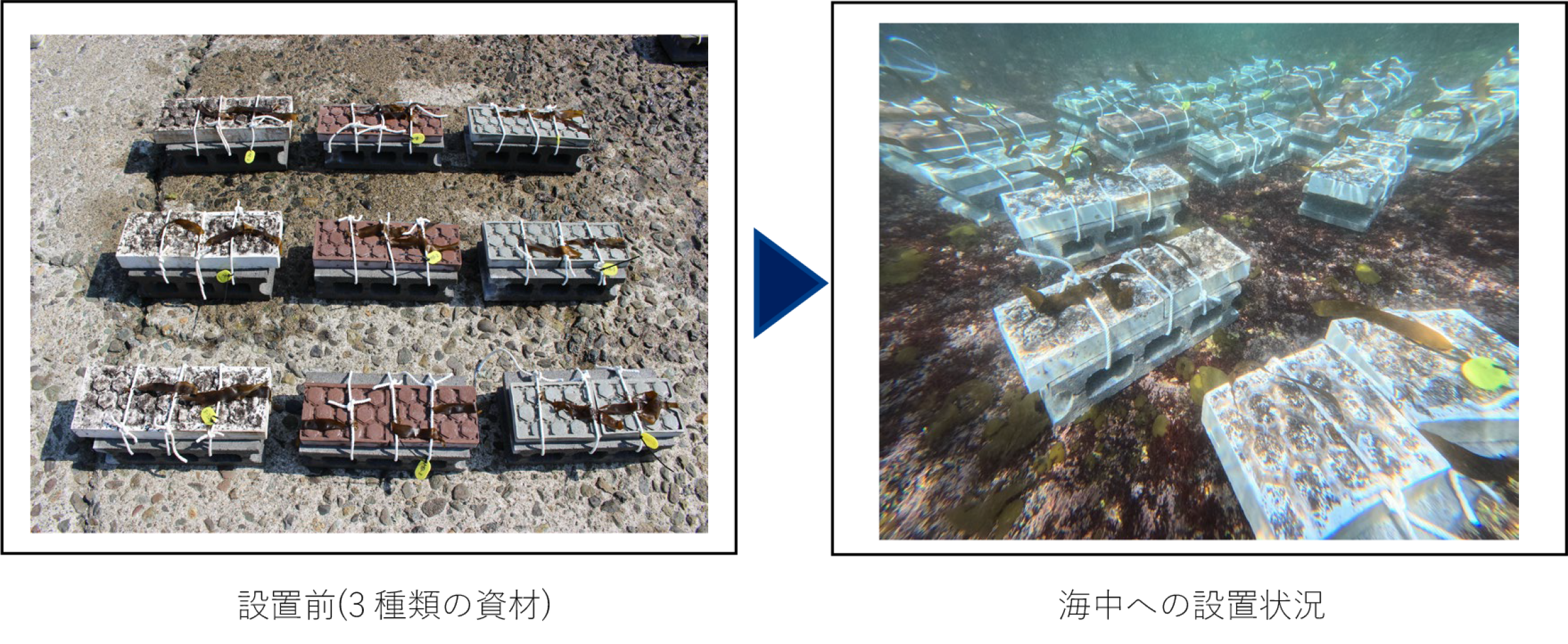 今回新たに追加した現場海域の設置状況