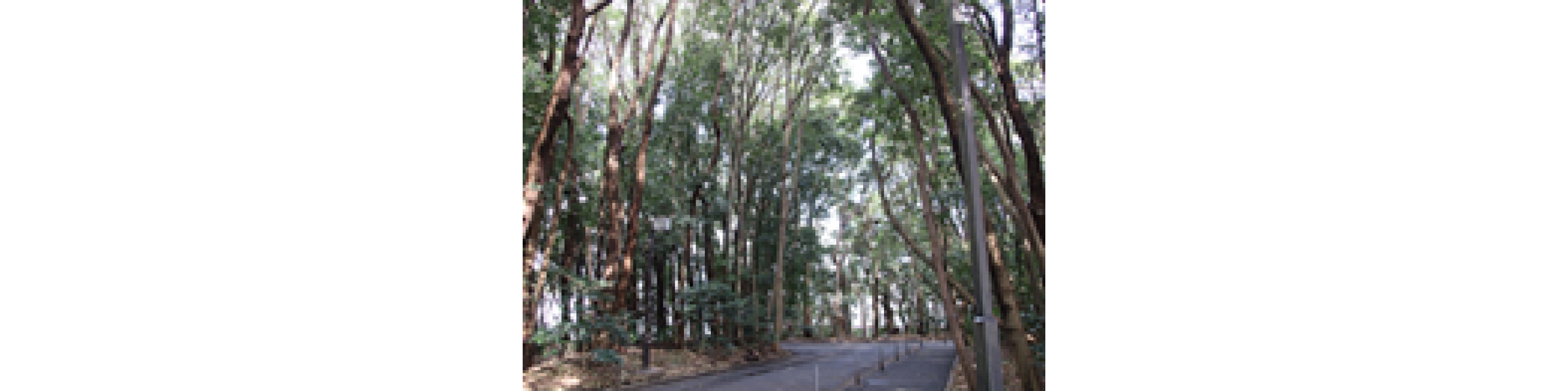 2023年頃　環境情報4号棟の前