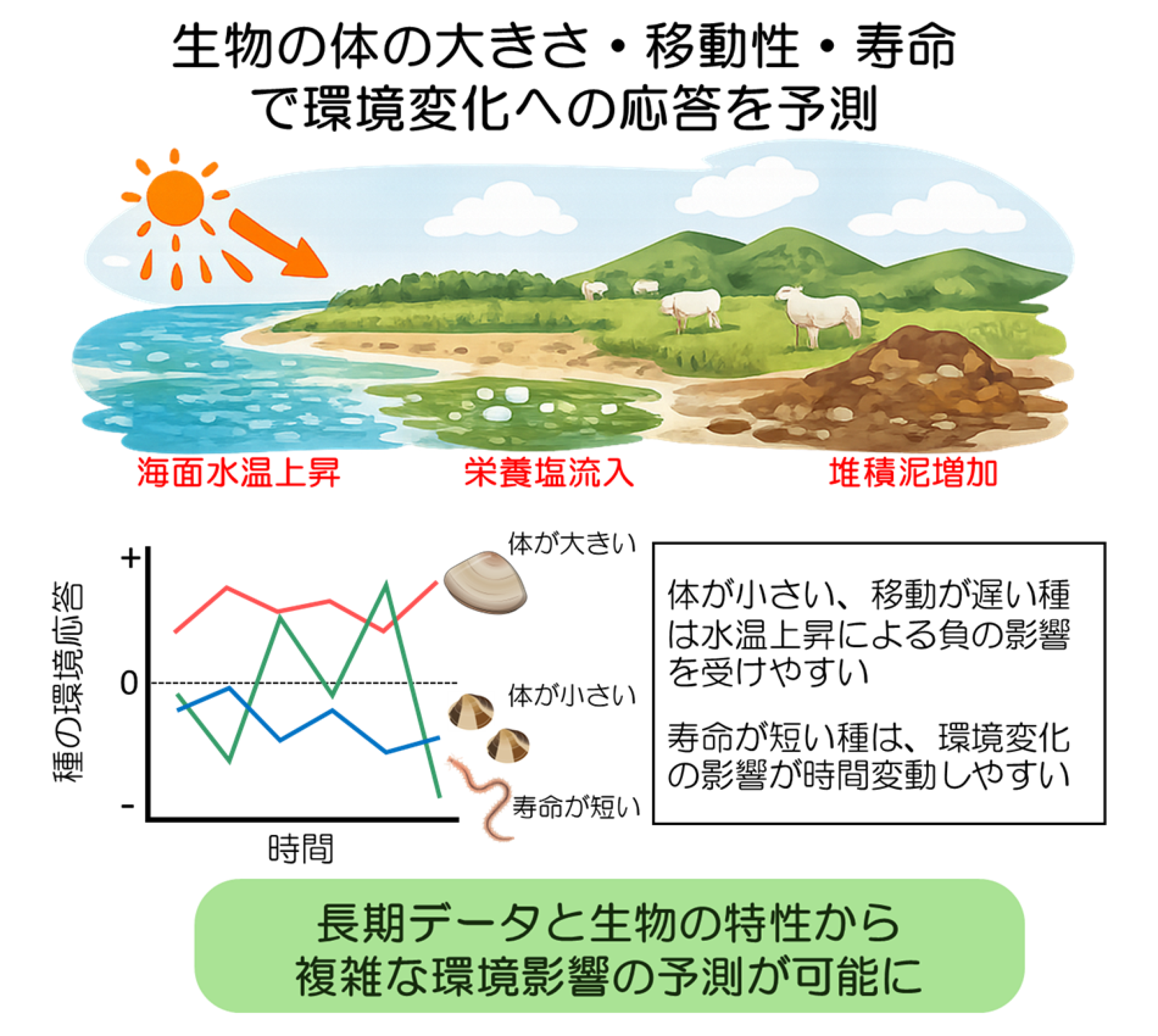 図1．本研究で明らかになったこと