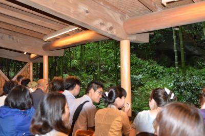 View a bamboo garden with matcha green tea