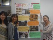 The volunteers introduced their activities at ‘International Week’