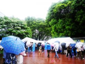 雨にもかかわらず、多くの来場者