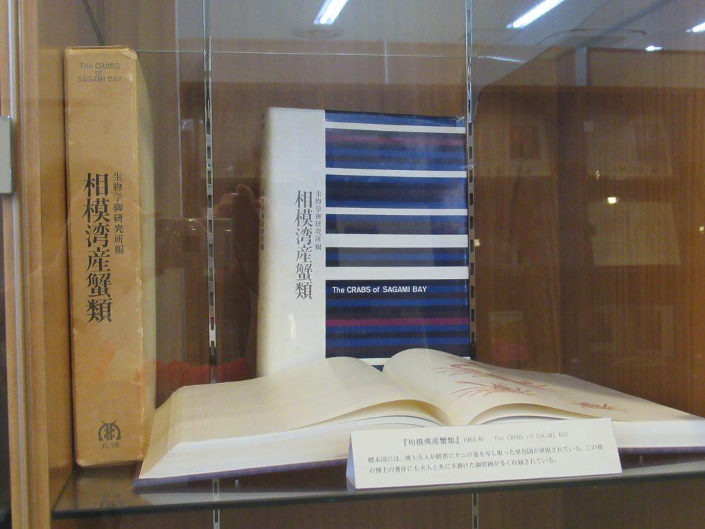 展示物